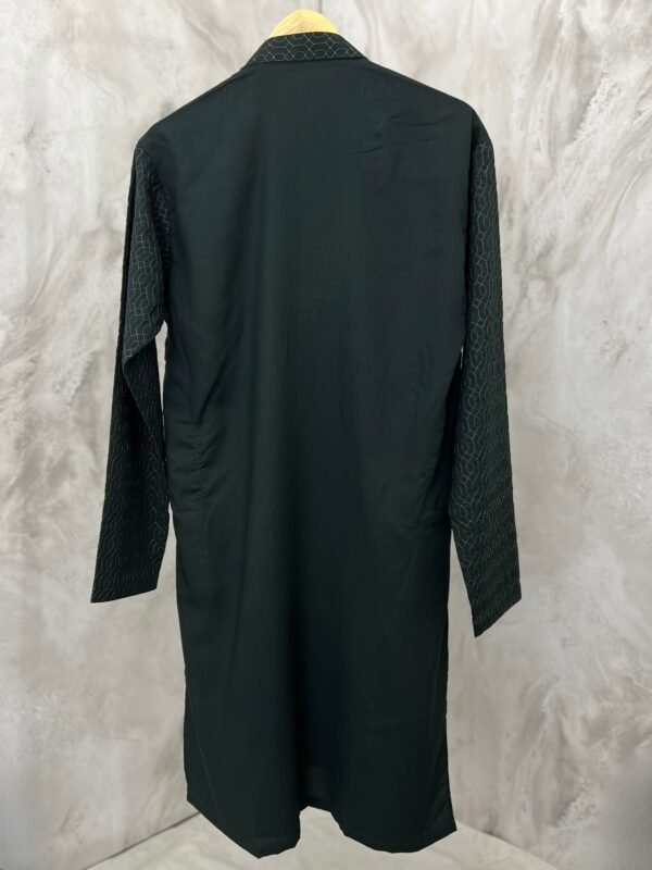 Royal Chikankari Embroidered Suit in Elegant Sea Green Color Set - Image 2